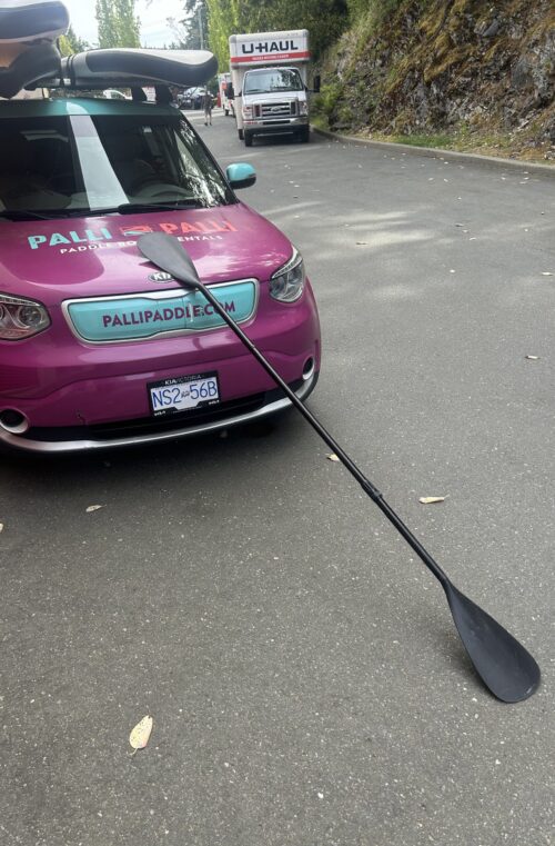 3 Piece Kayak Travel Paddle