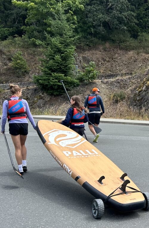 3rd Generation Palli Paddle Carts